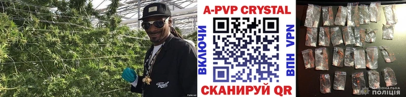ссылка на мегу онион  Кувандык  A PVP VHQ 