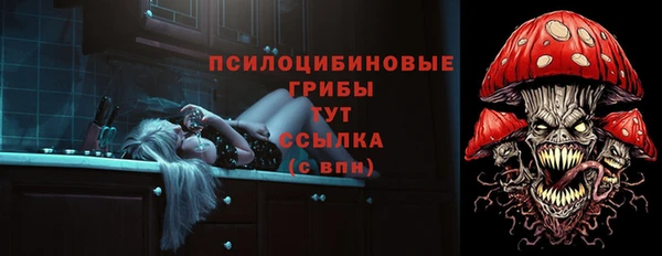 гидропоника Белоозёрский
