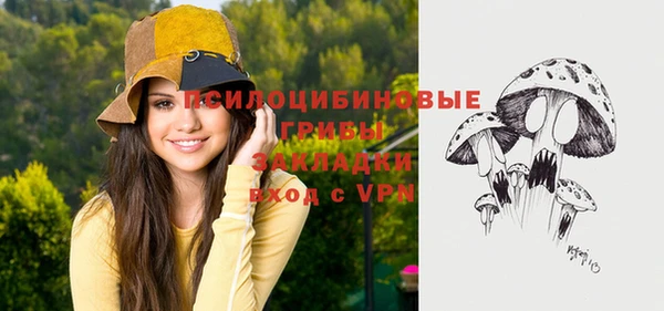 гидропоника Белоозёрский